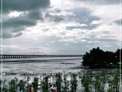 -宝安西湾红树林湿地公园