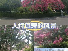-杭州城北体育公园