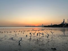 -深圳湾公园(南山区)