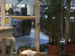 -小时光咖啡馆(开森度假森林店)