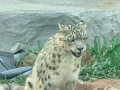 -青藏高原野生动物园