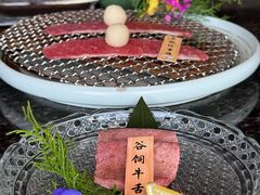 -老乾杯(深圳湾万象城店)
