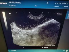 -关爱动物医院·心脏·中兽医·异宠(金牛路分院)