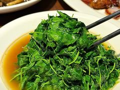 -老瑞福上海菜(人民广场店)