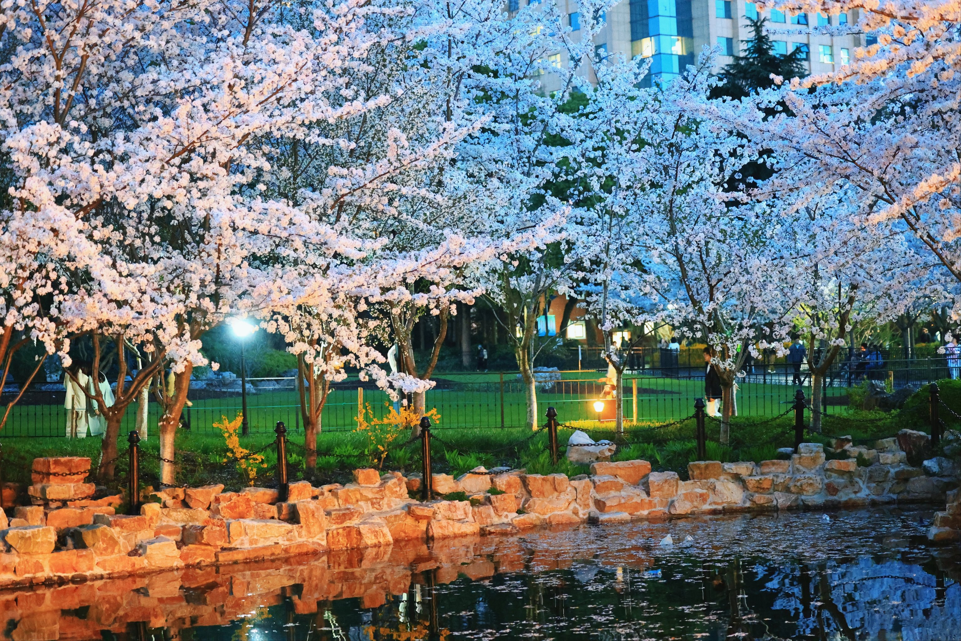 春季热门景点有哪些(春季热门景点有哪些城市)