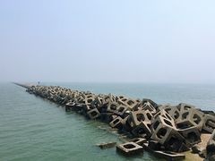 -东疆建设开发纪念公园