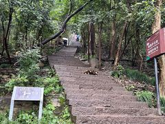 -紫金山山顶公园