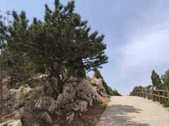 -府君山公园