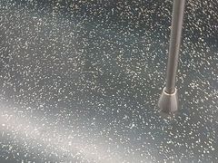 -豪享来(我格广场店)