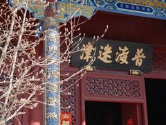 -天津大悲禅院