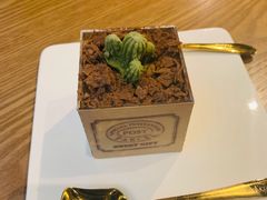 盆栽-咖法森林·咖啡  酒吧(天河店)