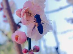 -北京市劳动人民文化宫(太庙)
