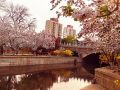 -元大都城垣遗址公园