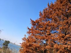 -句容茅山景区