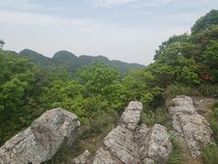 -午潮山国家森林公园