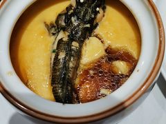 红烧塘鲤鱼-香雪海饭店中餐厅(人民桥店)