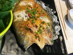-九府羊·鲜羊火锅·烤串(新华路店)
