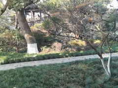 -浙江西子宾馆·瑶园咖啡厅