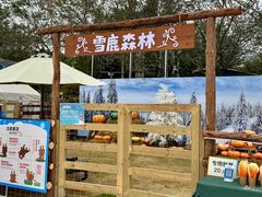 -盈香心动乐园