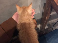 -时光转角咖啡馆(西康路店)