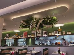 -Aqua Oasis 水天堂(太湖中心mall店)