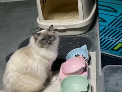 -零纪元VR体验馆·桌游(黄浦店)