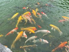 -扬州瘦西湖温泉