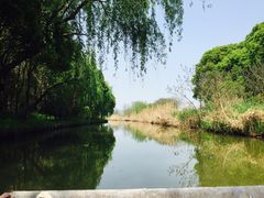 -同里国家湿地公园