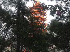 -仙岳公园