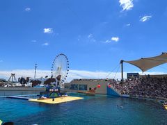 -秦皇岛乐岛海洋王国