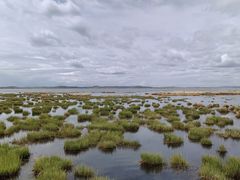 -花湖生态旅游区