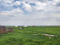 -敕勒川草原