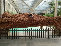 -龙达温泉生态城