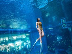 -成都浩海立方海洋公园