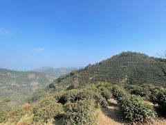 -西湖风景区十里琅珰-五云山