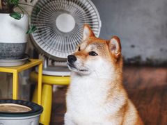 -About Bistro關於·泰式家庭料理