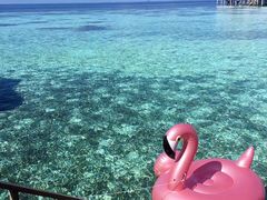 -中央格兰德岛温泉度假酒店 - 全包