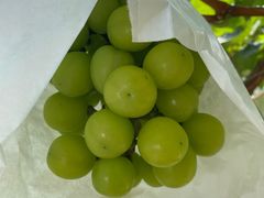 -美家乐农庄·露营·团建(大治路店)