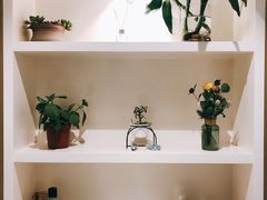 -蝶舍·MAISON PAPILLON