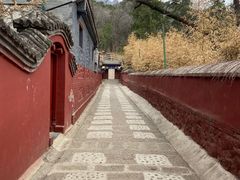 -红螺寺