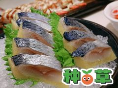 -羽寿司(东方宝泰店)