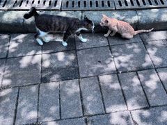 -晓港公园