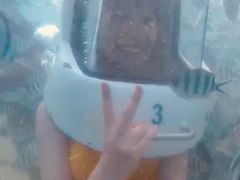-东姑阿都拉曼海洋公园