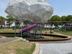 -春花秋色城市公园