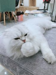 -隅日式美甲美睫專門店