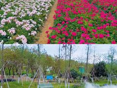 -盈香心动乐园