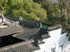 -西溪国家湿地公园