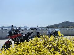 -丰依竹食·老牌竹筒饭