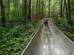-窦圌山风景区