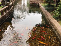 -海天楼中餐厅(吴宫泛太平洋酒店)